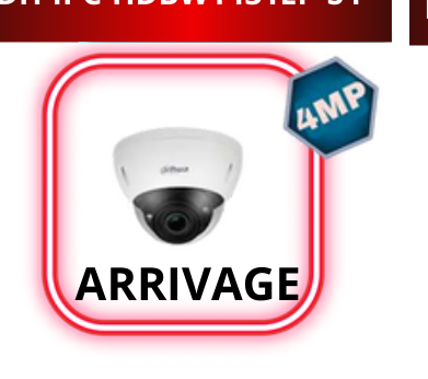 DH-IPC-HDBW1431EP-S4