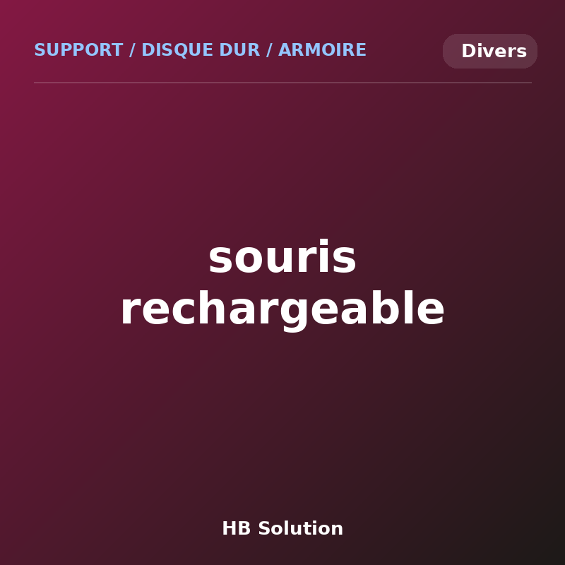 souris rechargeable