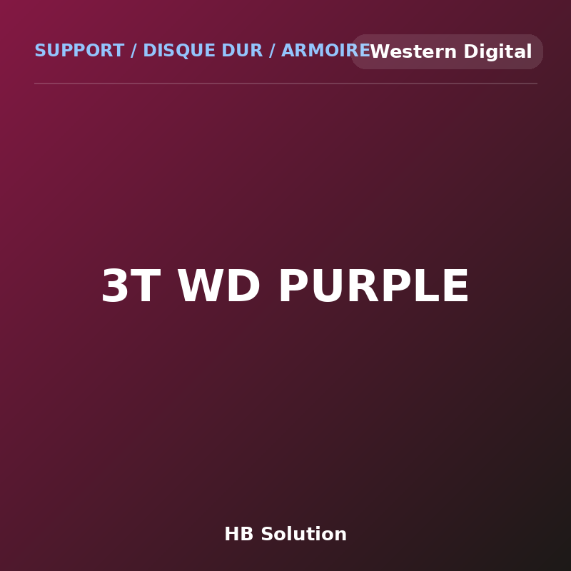 3T WD PURPLE