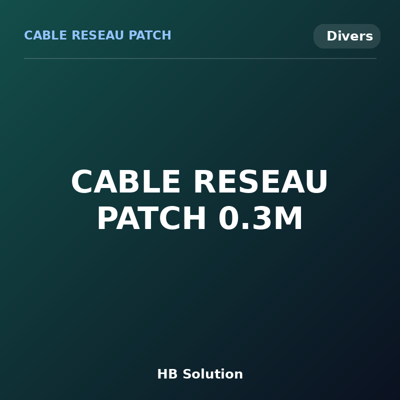 CABLE RESEAU PATCH 0.3M