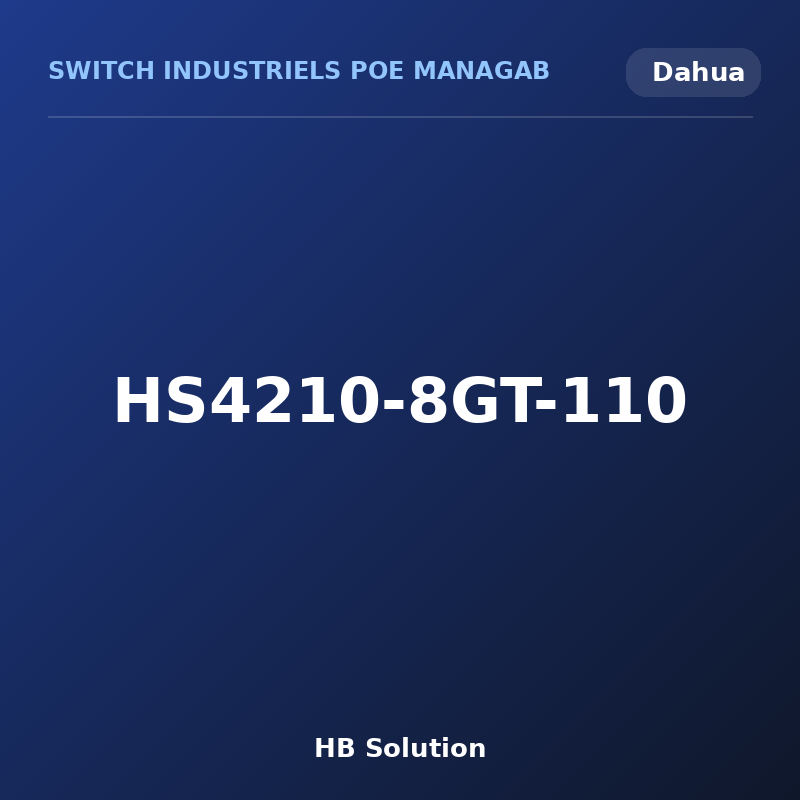 HS4210-8GT-110